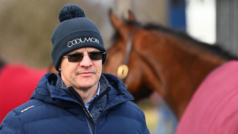 Aidan O'Brien and his Ballydoyle team are preparing for another big campaign. (Healy Racing)